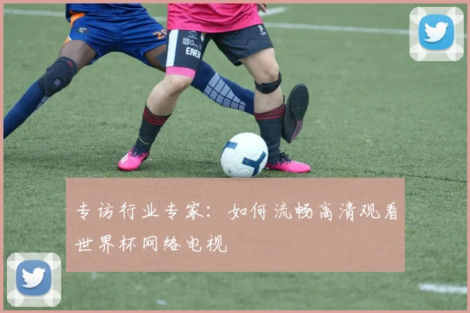 专访行业专家：如何流畅高清观看世界杯网络电视